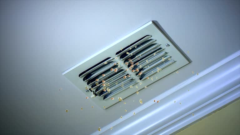 Best Dryer Vent Cleaning Services  in Port Townsend, WA