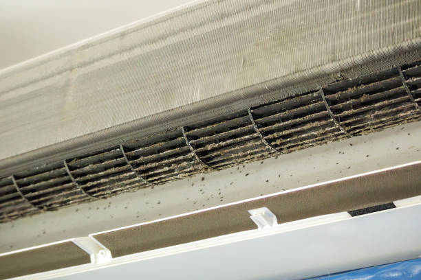 Best Affordable Air Duct Cleaning  in Port Townsend, WA